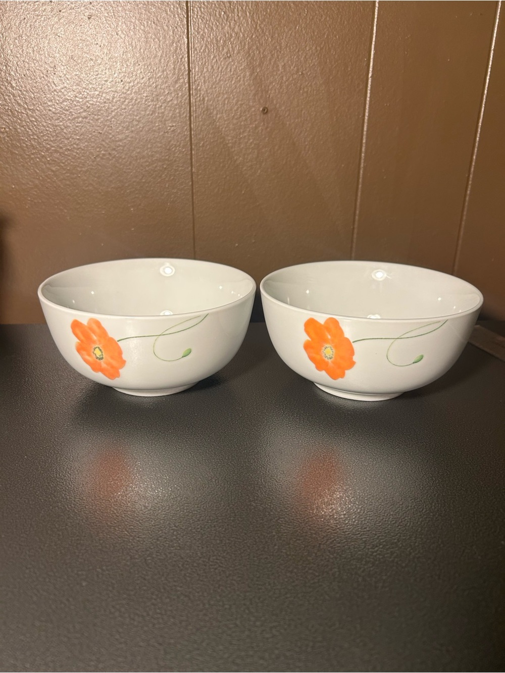 2 Corsica Home Poppy Porcelain Soup Cereal Bowls